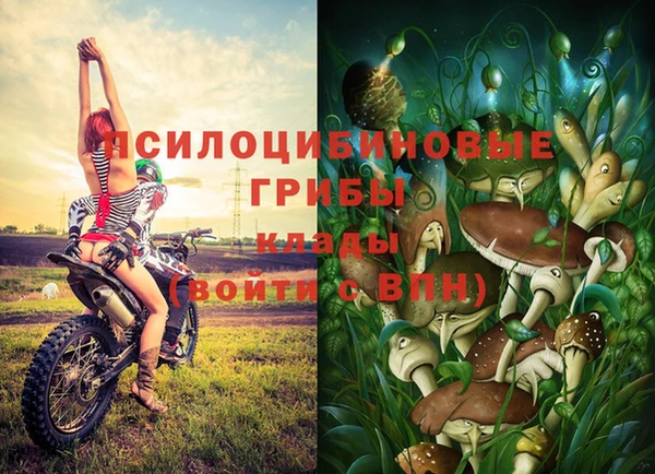 а пвп мука Вязьма