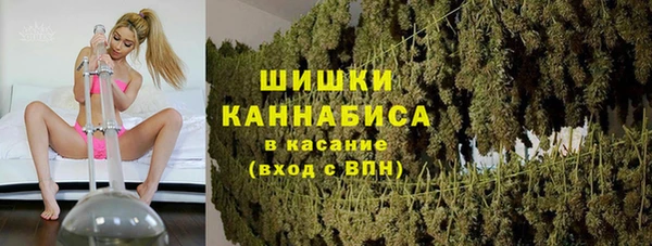 тгк Володарск